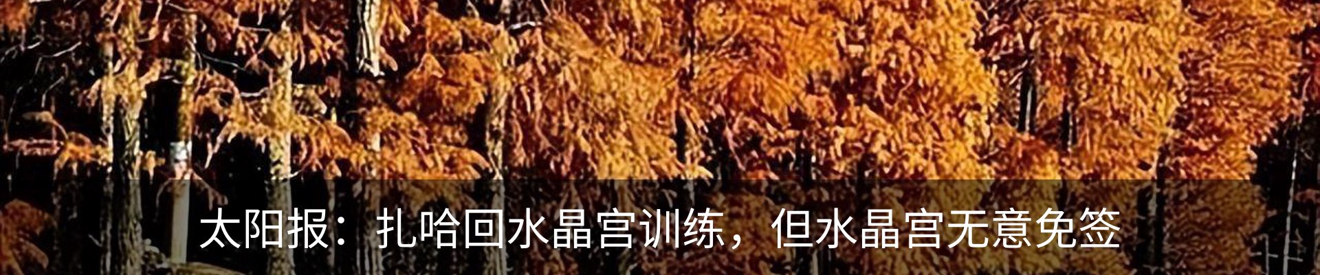 新闻中心